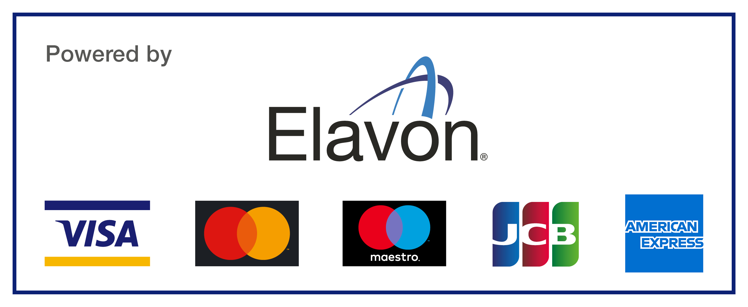 Payment schemes logo 11